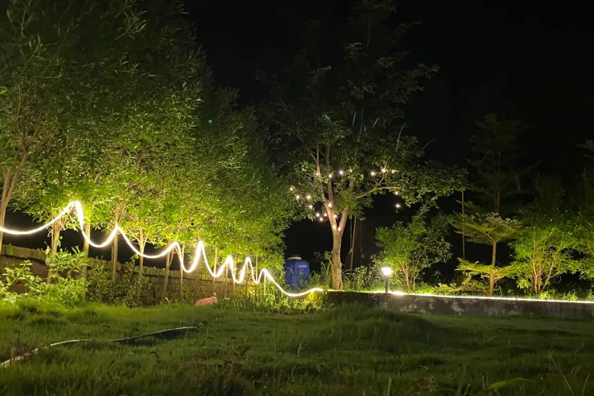 Bolly Villa