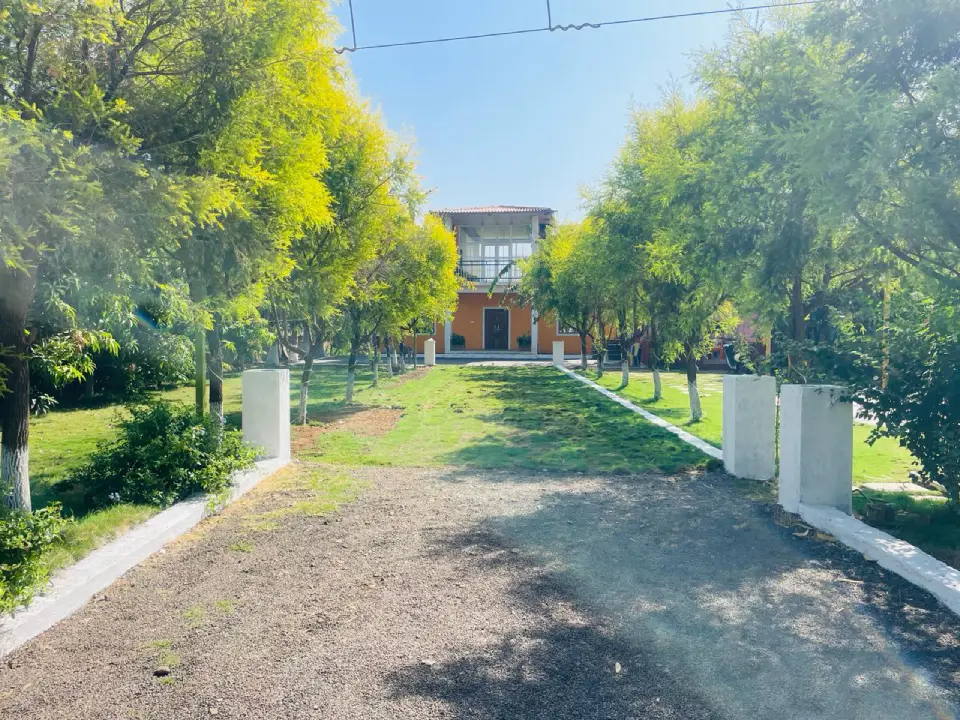 The Yellow House